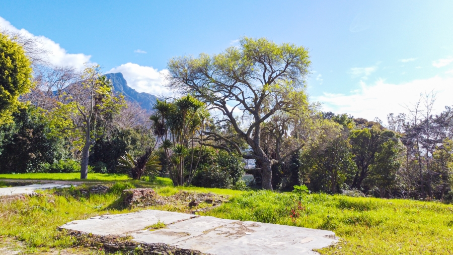 0 Bedroom Property for Sale in Bishopscourt Western Cape